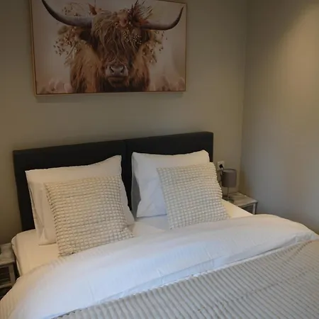 Luxe In De Veluwse Bossen Nabij *
