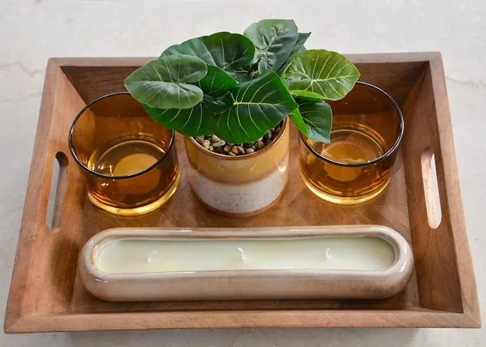 Luxe In De Veluwse Bossen Nabij Harderwijk