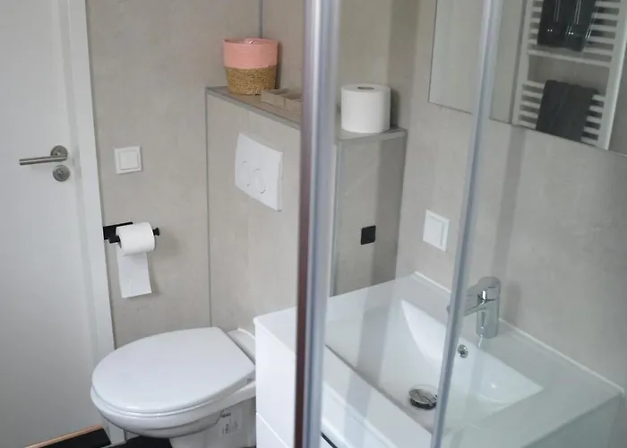 Luxe In De Veluwse Bossen Nabij Chalet *