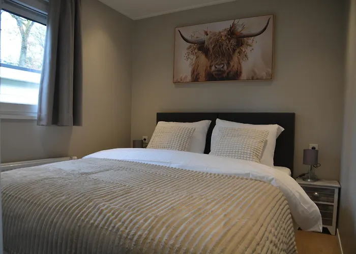 Luxe In De Veluwse Bossen Nabij Chalet *