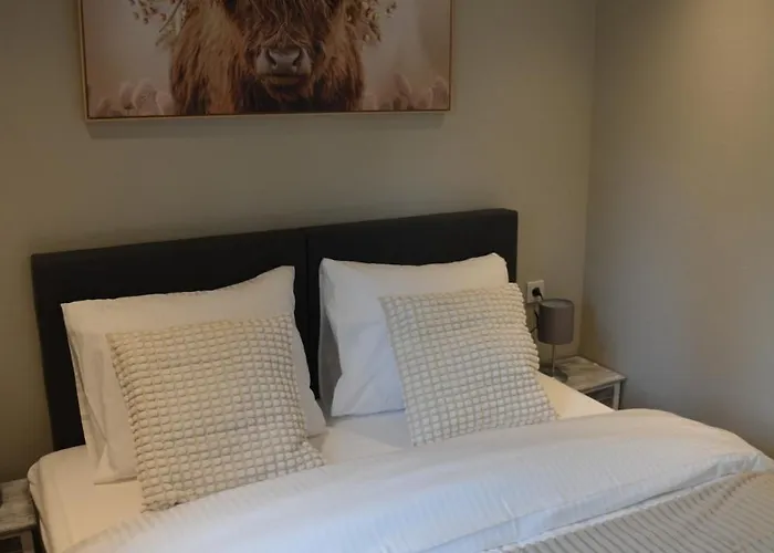 Luxe In De Veluwse Bossen Nabij *