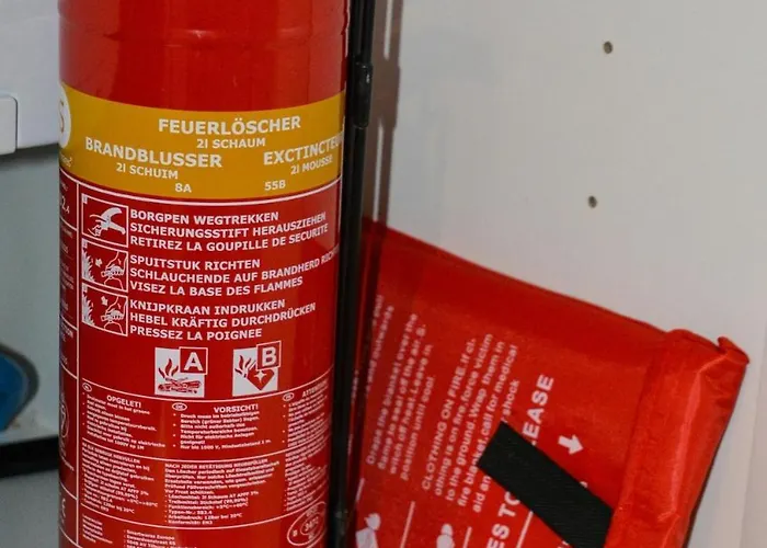 Luxe In De Veluwse Bossen Nabij Chalet