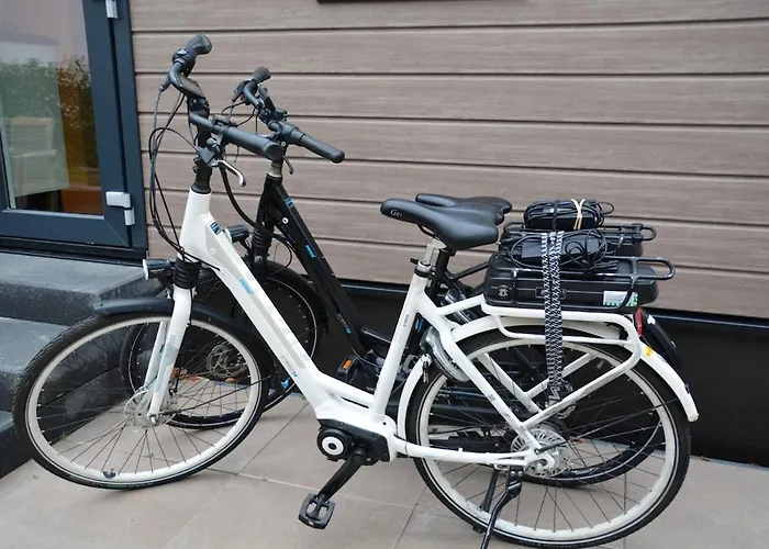 Luxe In De Veluwse Bossen Nabij Harderwijk